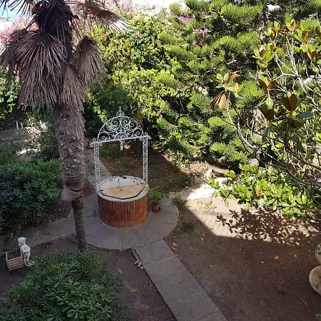 La Magnolia